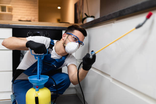 Best Wasp Removal Services  in Edgewood, OH