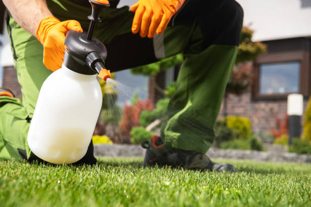 Insect Control in Edgewood, OH