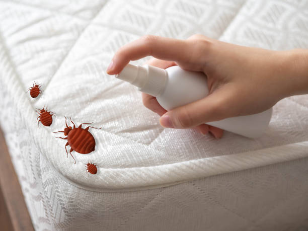 Best Best Pest Control Companies  in Edgewood, OH
